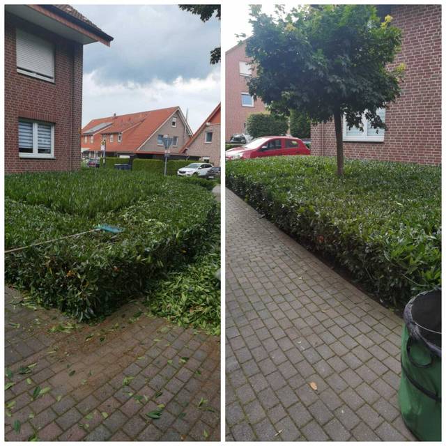 Heckenschnitt am Mehrfamilienhaus