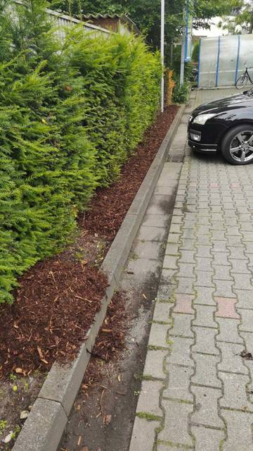 Hecke geschnitten, Weg frei