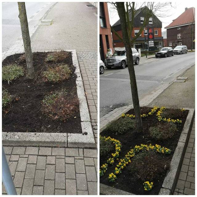 Beet am Straßenrand – vorher und nachher