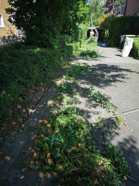 Rückschnitt am Gehweg