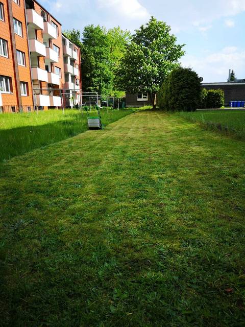 Gepflegte Grünfläche am Mehrfamilienhaus