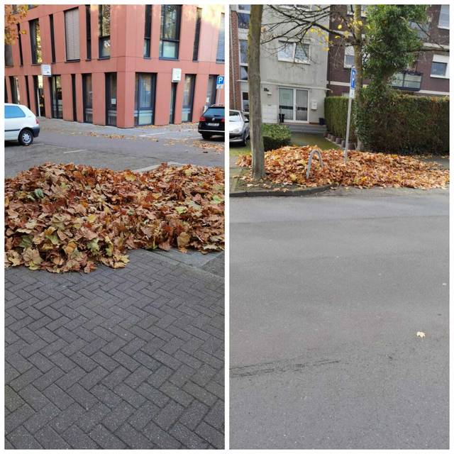 Laub und Herbstpflege