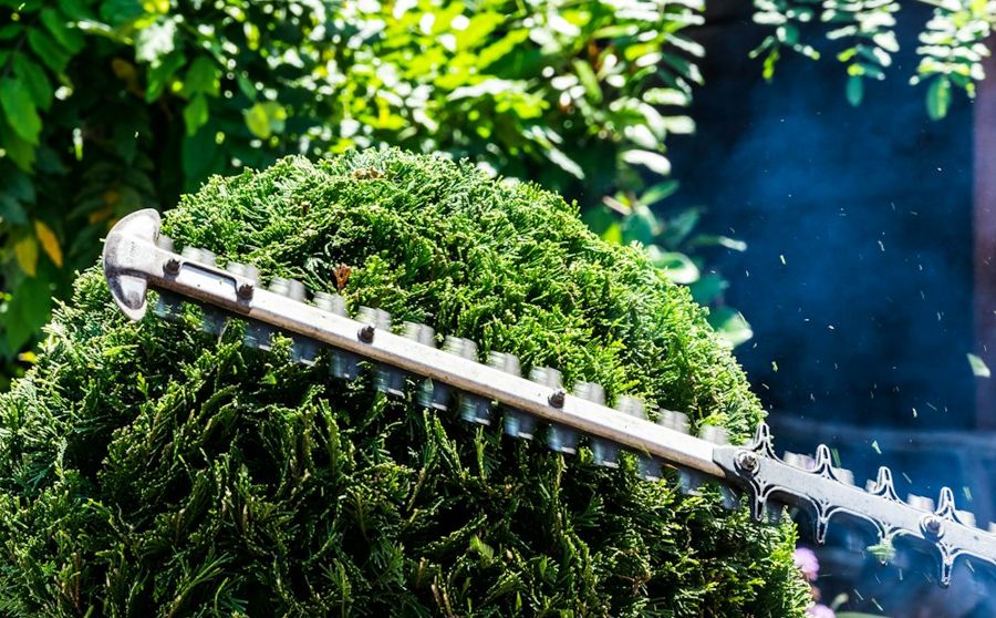 Gartenpflege: gepflegter Rasen und Beete